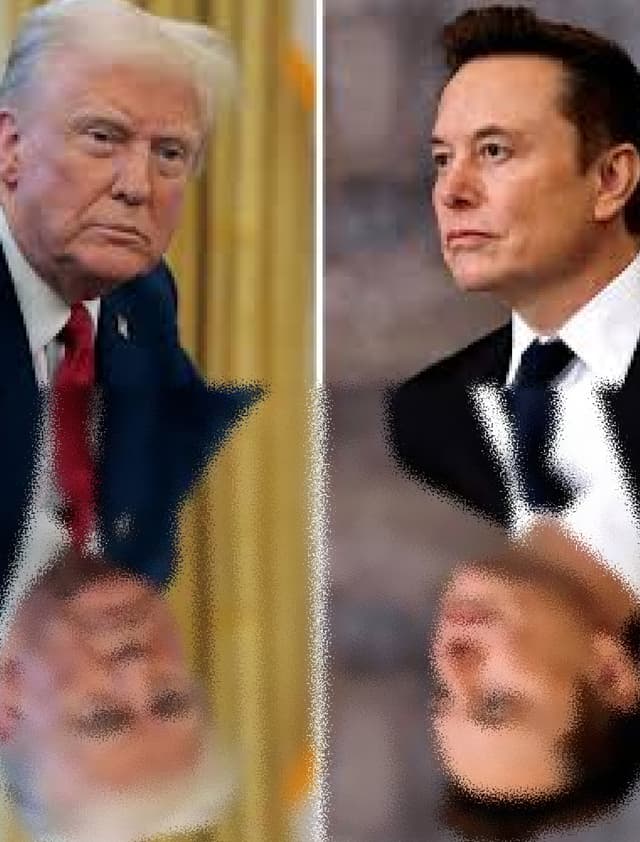 Will Trump meet Elon Musk again this year?